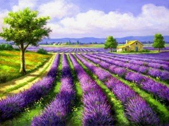 Levandų paveikslas ant drobės, ryškūs violetiniai laukai su keliu ir geltona sodyba, horizontali 60×40 cm