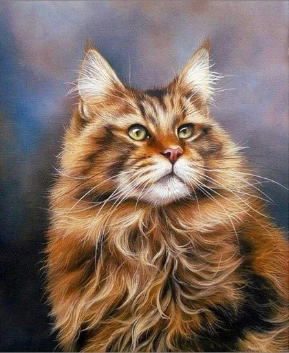 Maine Coon katė ruda ilgaplaukė, žaliomis akimis ir stambiomis ausimis, portretas pabrėžia tankų kailį