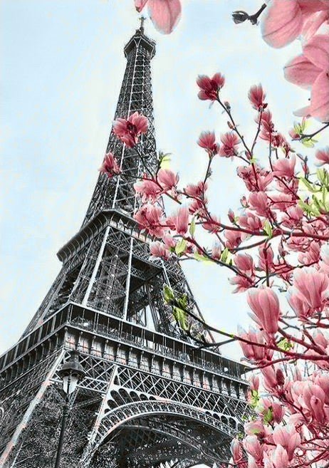 Eifelio bokšto plakatas su rožinėmis magnolijomis, juodai baltu bokštu ir vertikalaus artimo plano kompozicija interjerui