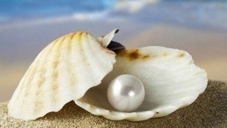 Perlas vienoje atvertos baltos kriauklės ant smėlio, perlamutrinis atspindys ir jūros fonas
