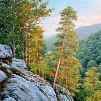 Drobė su kalnų miško motyvu, 60×90 cm, natūralūs žali ir rudi tonai, kompozicija iš uolos krašto akcentuoja aukštas pušis