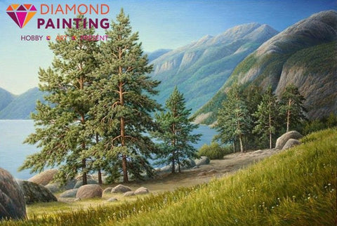 Deimantinė tapyba fjordo pakrantės peizažas su pušimis ir žaliomis tonacijomis, 50×40 cm rinkinys