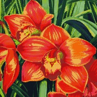 Orchidėja oranžinė su trimis dideliais atvirais žiedais, arti užfiksuotas priekinis kadras, tinka vazonui