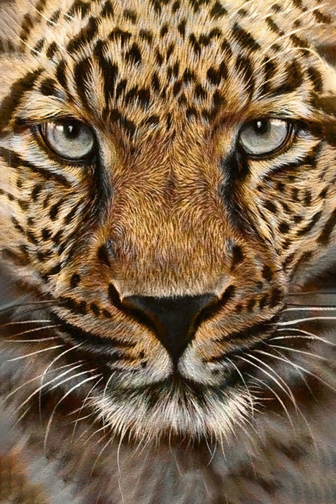 Plakatas leopardo veidas su detališkomis rudos ir juodos spalvos dėmėmis, didelio formato sienos dekorui