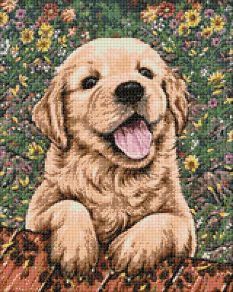 Diamond painting rinkinys: auksaspalvis šuniukas ant spalvoto gėlių fono, 30×40 cm, detalios blizgios kristalo plytelės