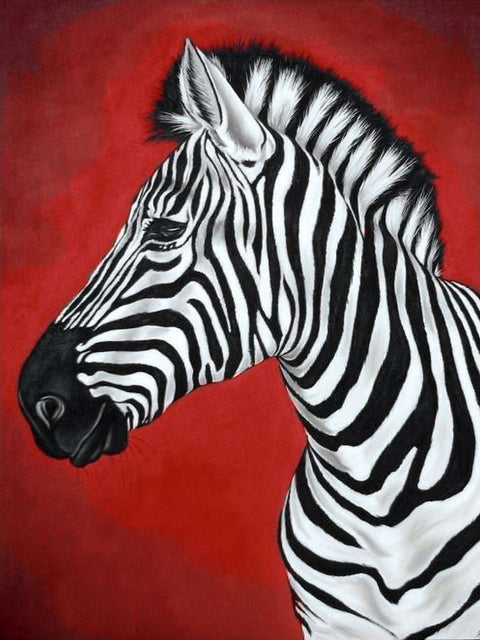 Paveikslas zebras: juodai baltas zebros profilis ant ryškiai raudono fono, moderni sienų dekoracija su artimu kairiniu žvilgsniu