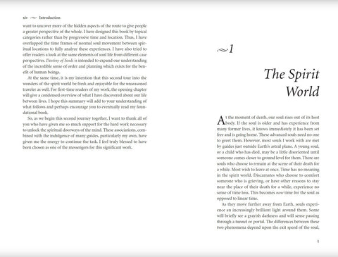 knyga atversta dvispalvė: kairėje įžangos tekstas, dešinėje skyriaus pavadinimas The Spirit World, rodantis maketą ir šrifto dydį pirkėjui