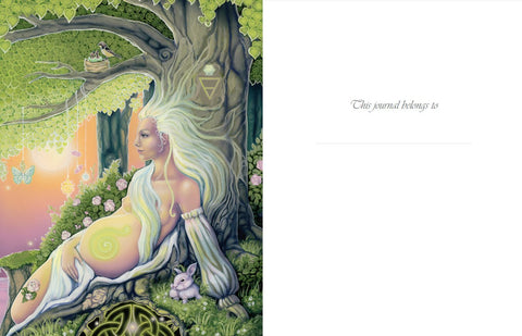 Nėštumo dienoraštis su pastelinės paletės fantazijos iliustracija priekinio viršelio — nėščios fėjos ir triušio motyvas.