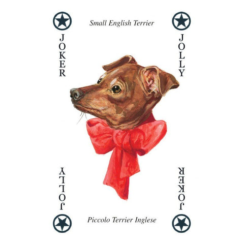 Lo Scarabeo: Dogs kortos - HOBI.LT 🇱🇹