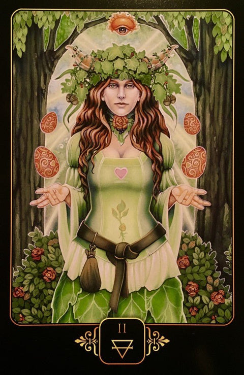 Blue Angel: Dreams of Gaia Tarot kortos - HOBI.LT 🇱🇹