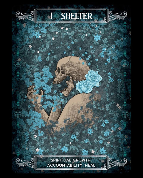 Rockpool: Earth & Bone Oracle kortos Rockpool - HOBI.LT 🇱🇹