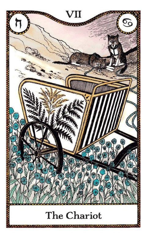 Cico Books: Elemental Power Tarot kortos - HOBI.LT 🇱🇹