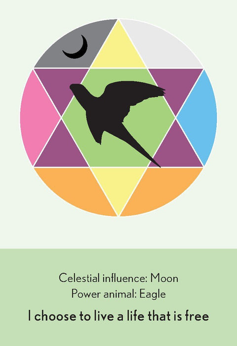 Animal Dreaming: Enchanted Animal Oracle kortos - HOBI.LT 🇱🇹