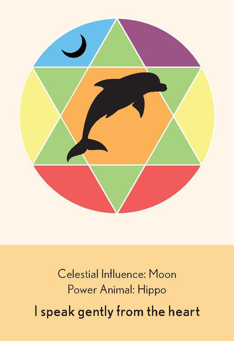 Animal Dreaming: Enchanted Animal Oracle kortos - HOBI.LT 🇱🇹