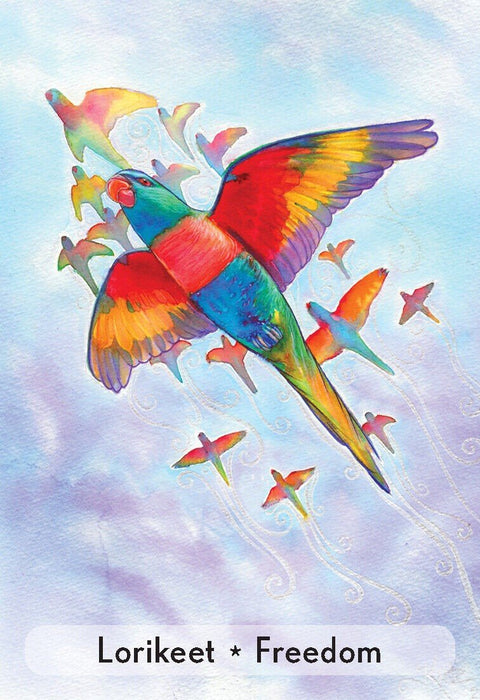 Animal Dreaming: Enchanted Animal Oracle kortos - HOBI.LT 🇱🇹