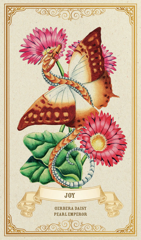tarot korta Joy su rožinėmis gerbera gėlėmis, drugelio–pynės ornamentu ir aukso rėmeliu, plakato variantas