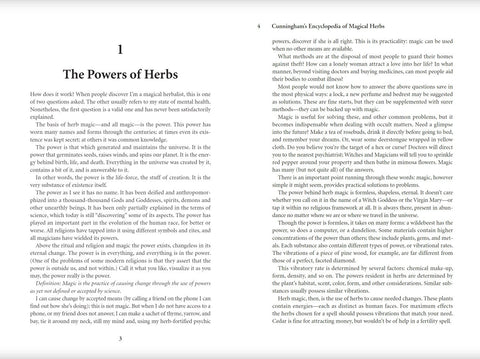 knyga atversta – vidinis dvipusis puslapis su skyriumi The Powers of Herbs anglų kalba, detalus spausdintas tekstas skaitymui