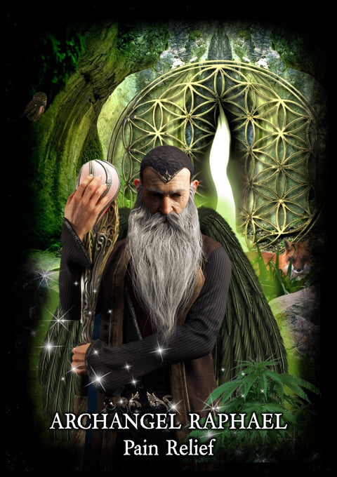 Solarus: Evolution of the Soul Oracle kortos Solarus Kortos - HOBI.LT 🇱🇹