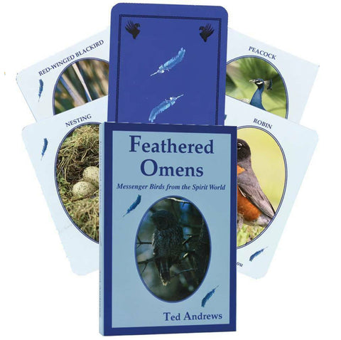 Kiti prekiniai ženklai: Feathered Omens Spiritual kortos Dragonhawk Publishing - HOBI.LT 🇱🇹