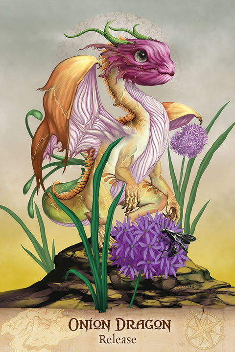 US Games Systems: Field Guide To garden Dragons Tarot kortos - HOBI.LT 🇱🇹