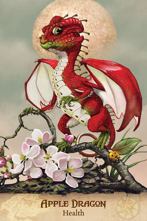 US Games Systems: Field Guide To garden Dragons Tarot kortos - HOBI.LT 🇱🇹