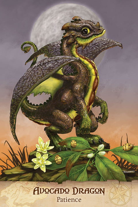 US Games Systems: Field Guide To garden Dragons Tarot kortos - HOBI.LT 🇱🇹