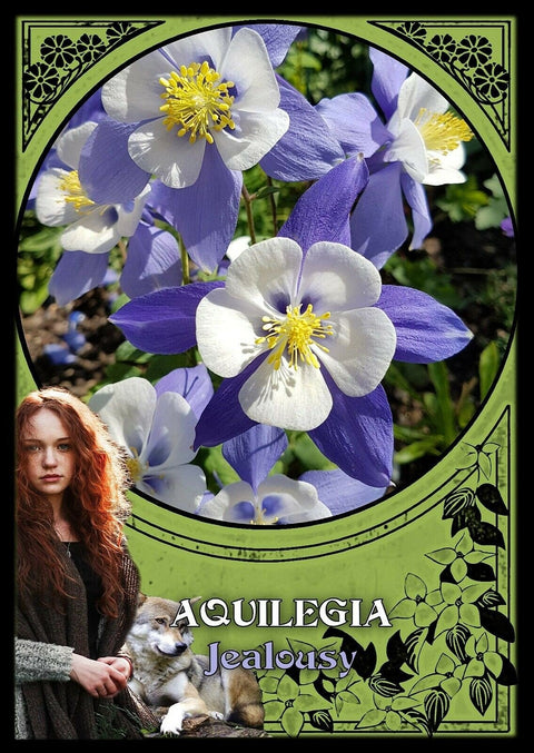 Solarus: Flower Magic Oracle Kortos Solarus - HOBI.LT 🇱🇹