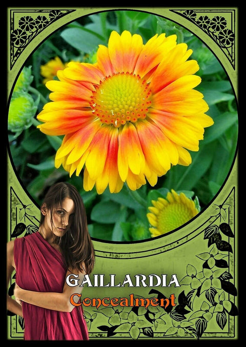Solarus: Flower Magic Oracle Kortos Solarus - HOBI.LT 🇱🇹