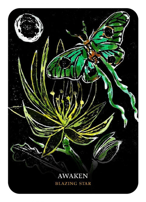 Rockpool: Flowers Of The Night Oracle kortos - HOBI.LT 🇱🇹