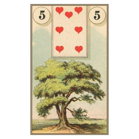 Lo Scarabeo: French Cartomancy Oracle Kortos - HOBI.LT 🇱🇹