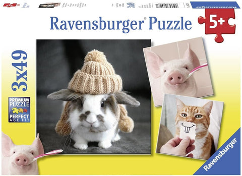 dėlionė Ravensburger 3x49, trijų variantų dėžutė: triušis su megzta kepure, šypsantis paršiukas ir katė