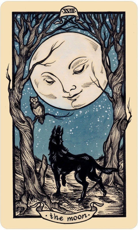 US Games Systems: Fyodor Pavlov Tarot kortos ir knyga - HOBI.LT 🇱🇹