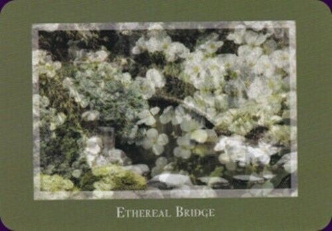 Plakatas Ethereal Bridge — subtilus balti ir žalsvi žiedų sluoksniai virš mažo tiltelio, 30×40 cm variantas