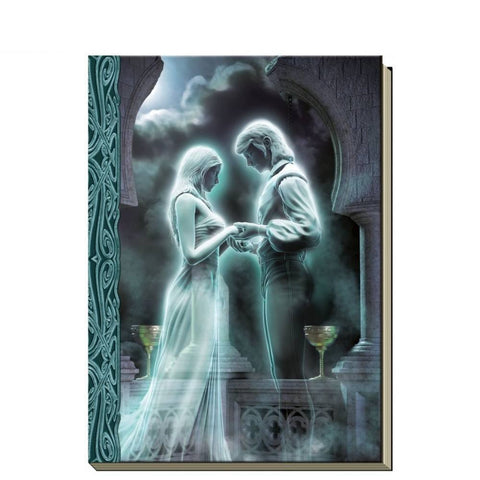 knyga: priekinis viršelis – eterinė romantinės fantastikos scena su dviem švytinčiais siluetais ir žiedų mainais