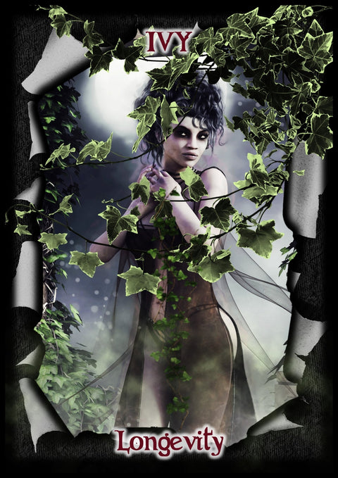 Solarus: Gothika Revealed Oracle kortos Solarus Kortos - HOBI.LT 🇱🇹