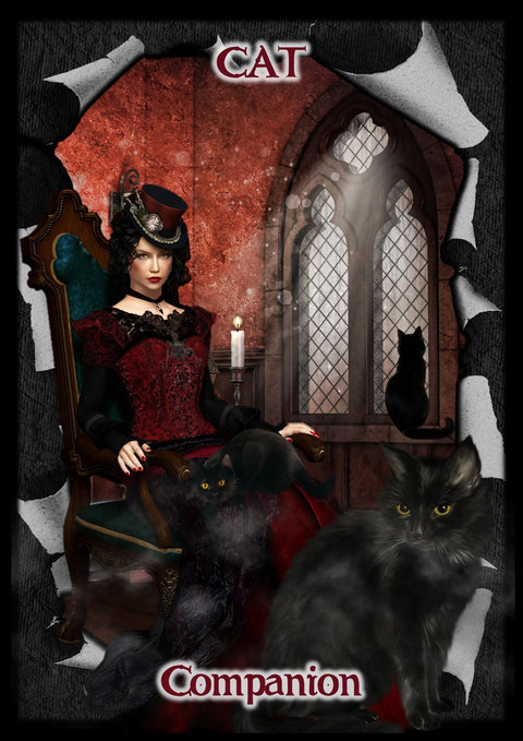 Solarus: Gothika Revealed Oracle kortos Solarus Kortos - HOBI.LT 🇱🇹