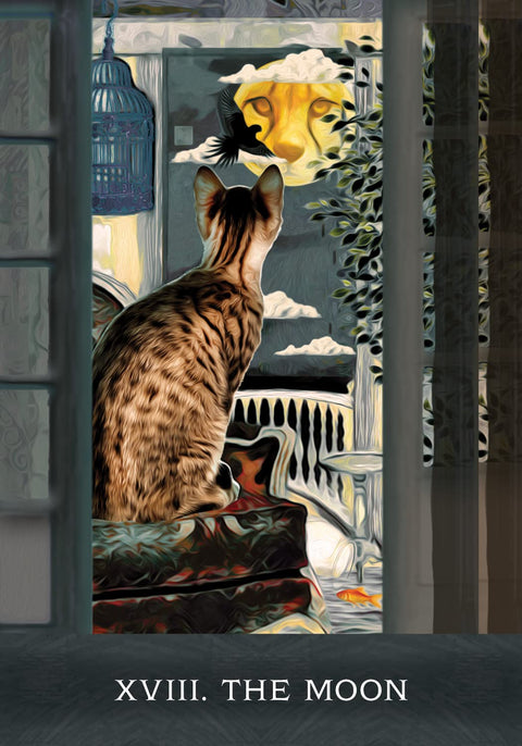 Hay House: Grimalkins Curious Cats Tarot kortos Hay House - HOBI.LT 🇱🇹