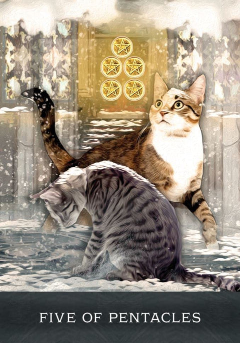 Tarot korta „Penki pentakliai“ su dviem katėmis žiemos scenoje, iliustruotas variantas, priekinis kampas galerijos peržiūrai