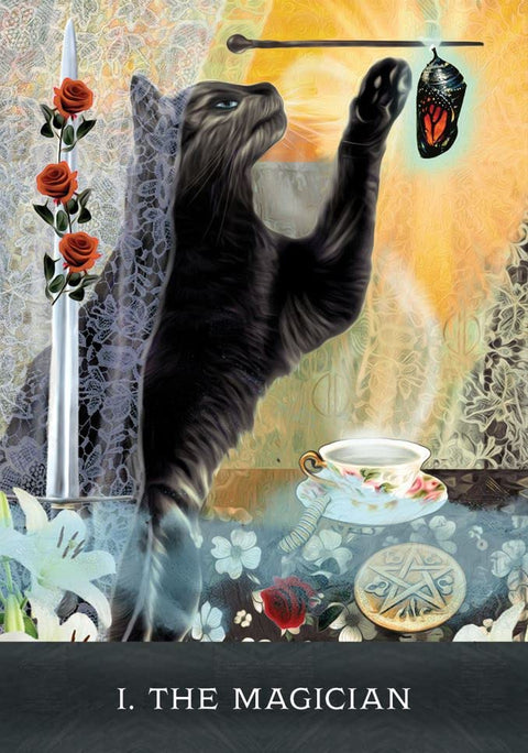 Tarot korta The Magician su juoda kate, žvake, puodeliu ir pentakliu — mistiškas iliustruotas dizainas, unikalus variantas galerijoje