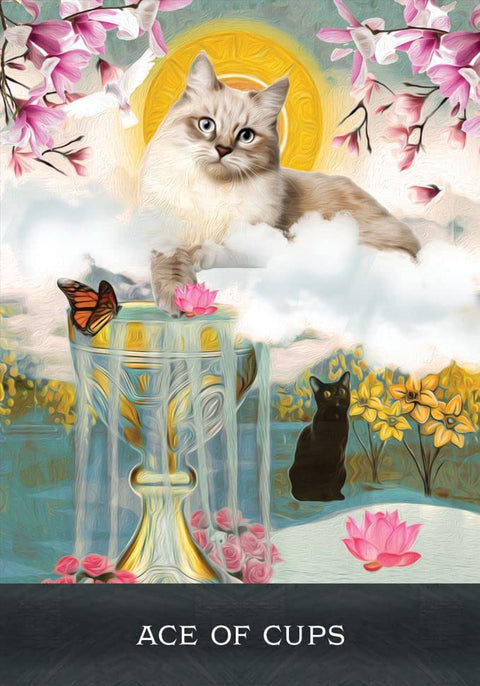 Taro korta Ace of Cups — iliustruota versija su baltu katinu ant taurės, juodu katinu ir gėlių dekoro pavasarine palete