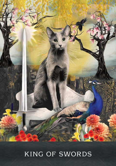 Tarot korta Karalius kardų – iliustracija su pilka kate ant sosto, stipriu kardu kairėje ir mėlynu pavo priekyje, saulės spinduliai fone, simbolizuojanti aiškumą ir autoritetą