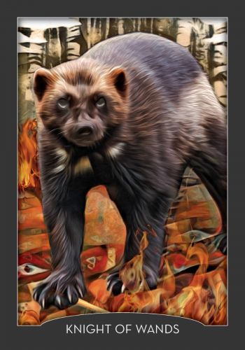 Hay House: Guardian Of The Night Tarot kortos Hay House - HOBI.LT 🇱🇹