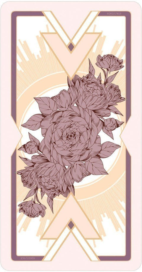 US Games Systems: Heavenly Bloom Tarot kortos - HOBI.LT 🇱🇹