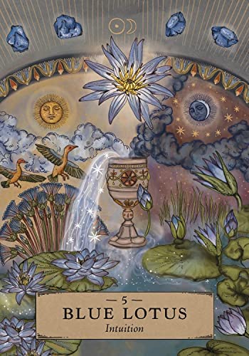 Hay House: Herbal Astrology Oracle kortos Hay House - HOBI.LT 🇱🇹