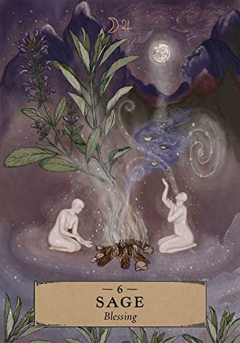 Hay House: Herbal Astrology Oracle kortos Hay House - HOBI.LT 🇱🇹