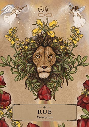 Hay House: Herbal Astrology Oracle kortos Hay House - HOBI.LT 🇱🇹