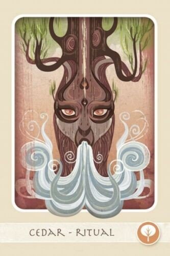 Schiffer: Herbal Healing Deck Tarot Kortos - HOBI.LT 🇱🇹