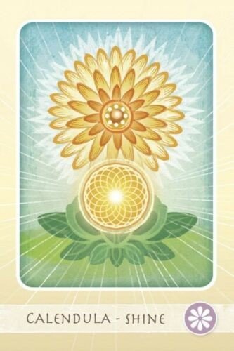 Schiffer: Herbal Healing Deck Tarot Kortos - HOBI.LT 🇱🇹