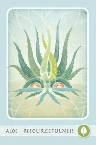 Schiffer: Herbal Healing Deck Tarot Kortos - HOBI.LT 🇱🇹