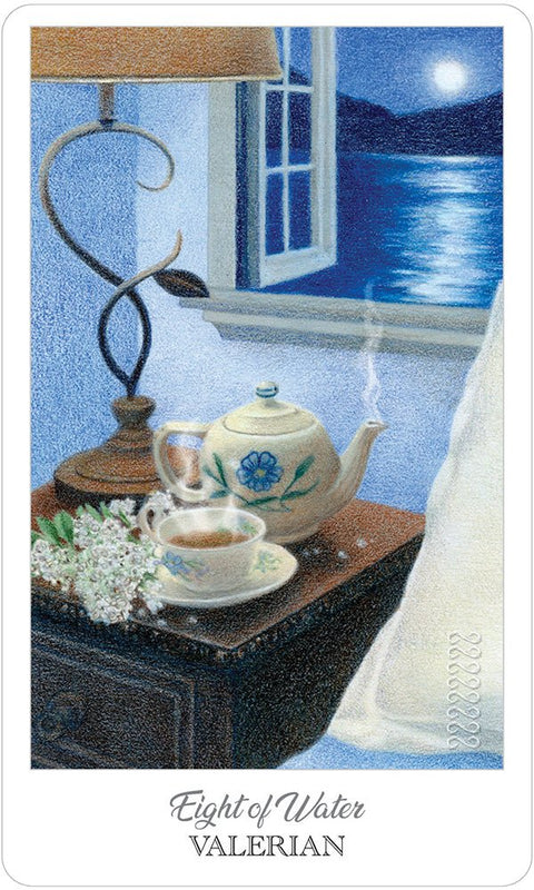 US Games Systems: Herbcrafter's Tarot kortos - HOBI.LT 🇱🇹